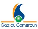 goz-du-cameroun heat exchanger